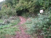 17 a DX