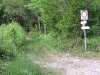 IMG_1585