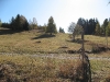 Img_1657 I PRATI.  QT.1550
