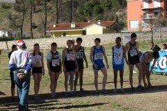 Cross Arco 2008