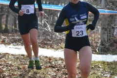 Regionali Cross 2013 Scena